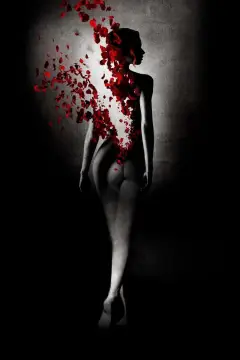 Обложка: Парфюмер: История одного убийцы