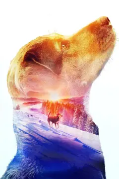 Обложка: Путь домой