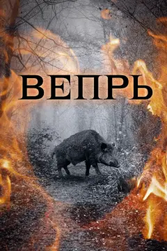 Обложка: Вепрь