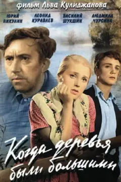 Обложка: Когда деревья были большими