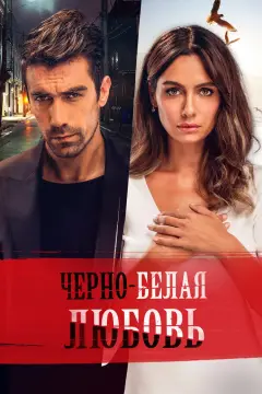 Обложка: Чёрно-белая любовь